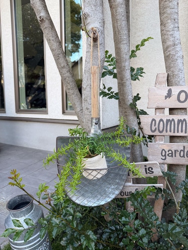 生活雑貨/キッチン雑貨 | CandyTower