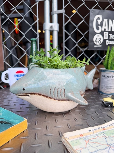 ���㡼�����ץ�󥿡���ƫ����