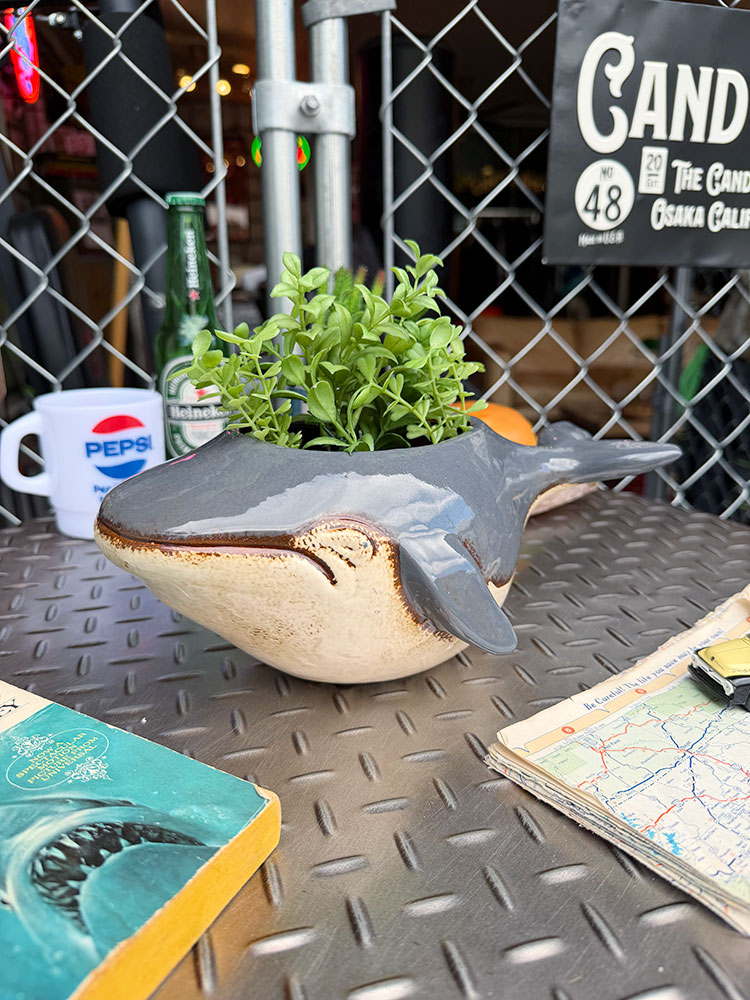 クジラ プランター 陶器製の通販・販売 | アメリカ雑貨のテーマパーク