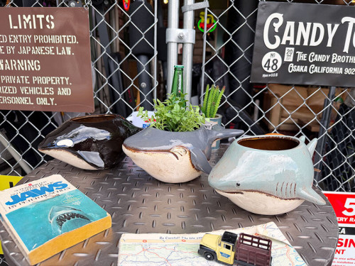 ���㡼�� �� ������ �� ��������ץ�󥿡���ƫ����������3�糧�åȡ�