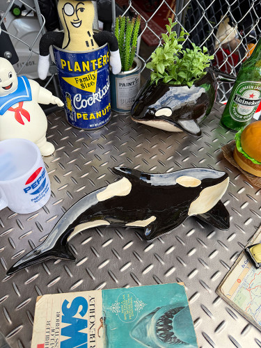 ���β��ԡ���������ץ졼�ȡ�������Τ�����ƫ����