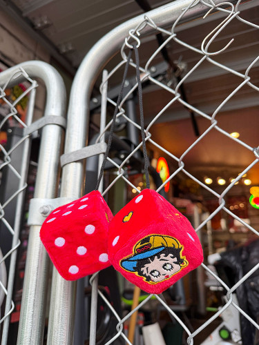 �٥ƥ����֡��ס��ե��������������ʥ�åɡˡ��ϥ󥮥󥰥�����