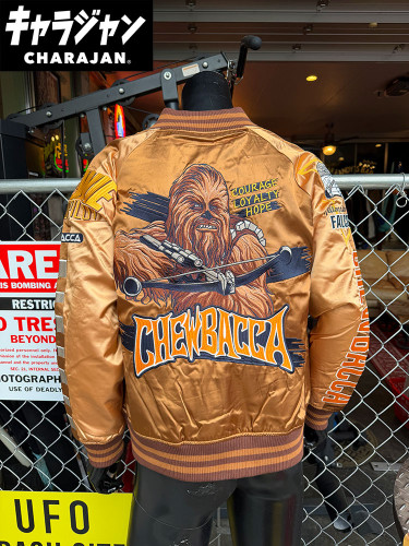 �������������������塼�Хå������������L�������Τߤ�Ÿ������˥��å��������ե������饤����