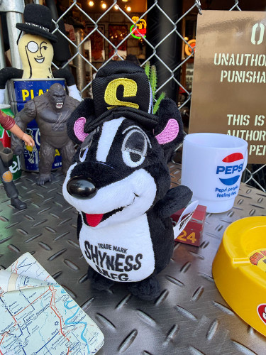 利用案内】アメリカ雑貨のテーマパーク！キャンディタワー本店（藤原