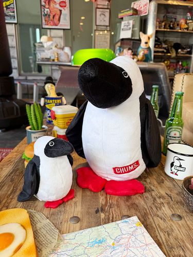 CHUMS������ॹ�����ե�����롡�֡��ӡ��ɡ��롡�̤�����ߡ����羮2�Υ��åȡ�