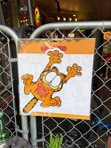 �����ե�����ɡ�30cm�磻�ɡ��ӥå������������ƥå������ʤ֤鲼����ݡ�����