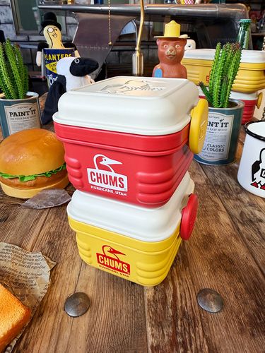 CHUMS������ॹ�����ե�����롡�ա��ɥ���ƥ�S��480ml����2�ĥ��åȡˡ��Żҥ�󥸡��������б�