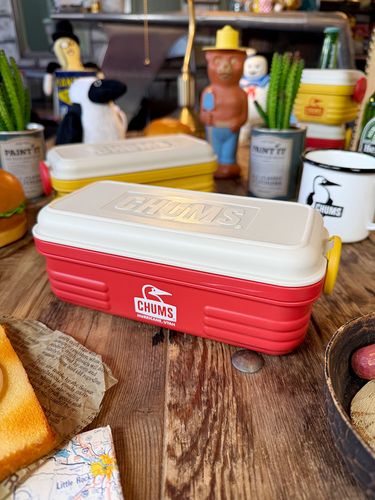 CHUMS������ॹ�����ե�����롡�ա��ɥ���ƥ�M��1100ml���ʥ�åɡˡ��Żҥ�󥸡��������б�