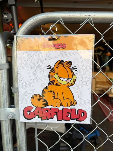 �����ե�����ɡ�20cm�磻�ɡ��ӥå������������ƥå������ʤ��¤�ݡ�����