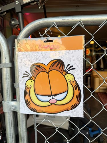 �����ե�����ɡ�20cm�磻�ɡ��ӥå������������ƥå������ʥե�������