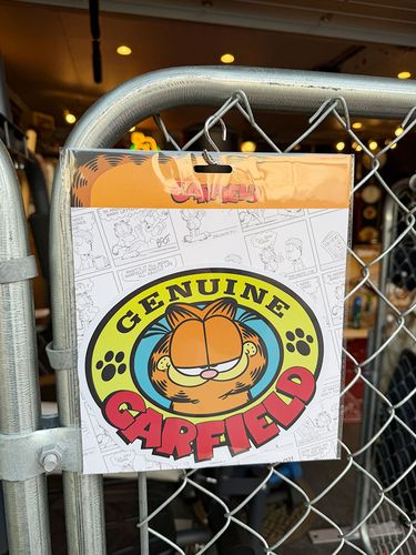 �����ե�����ɡ�20cm�磻�ɡ��ӥå������������ƥå������ʥ����Х������