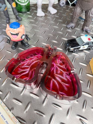 ���硼�����å����ٻ����٤Υ������򤷤�����