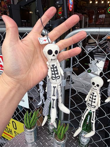 �����ԡ������롡WHITE���ʾ���������