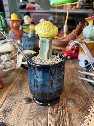 �ݥ��ȥ����ͥ�롡�ե����������ܥƥ󡡥��������ƥ��ݥåȡ��ʥ��������ࡼ���