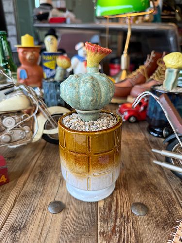 �ݥ��ȥ����ͥ�롡�ե����������ܥƥ󡡥��������ƥ��ݥåȡ��ʥ����Υץ�����