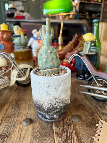 �ݥ��ȥ����ͥ�롡�ե����������ܥƥ󡡥��������ƥ��ݥåȡ��ʥ��Υ��������