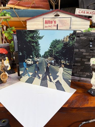 �ӡ��ȥ륺�����ӥ������ɡ����꡼�ƥ��󥰥����ɡ��������å�