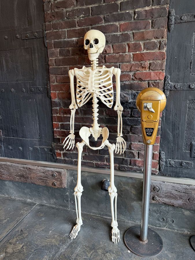 ポーズを付けれる スケルトン ガイコツ リアルオブジェ 160cm （大きい