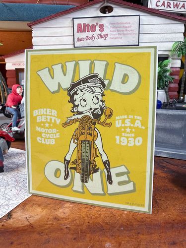 �٥ƥ����֡��ס����ե�����롡���ƥå������硡��WILD ONE��