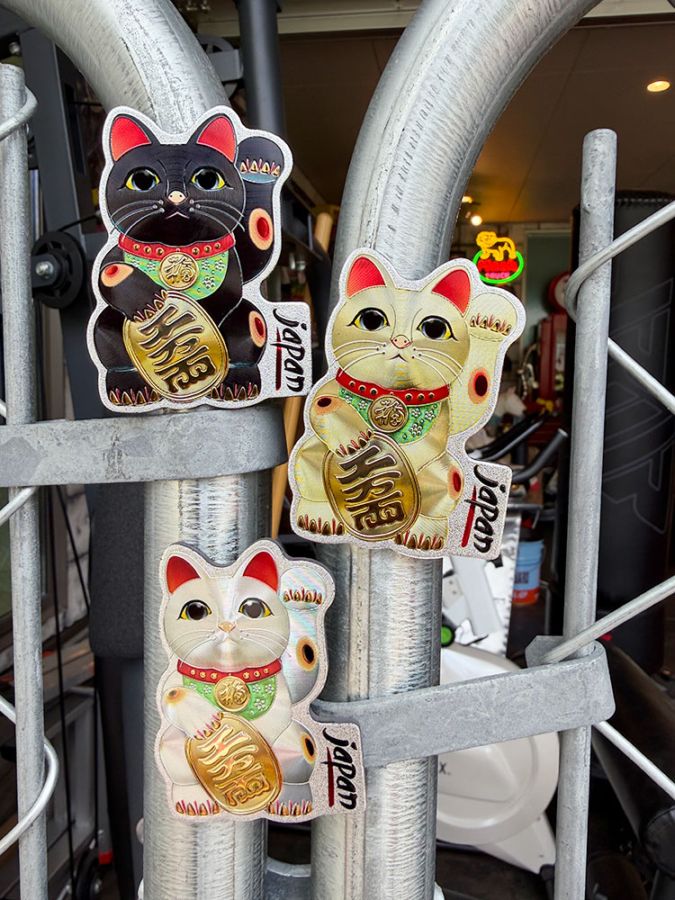 招き猫 マグネット （3色セット） 縁起物 招福万来 千客万来の通販