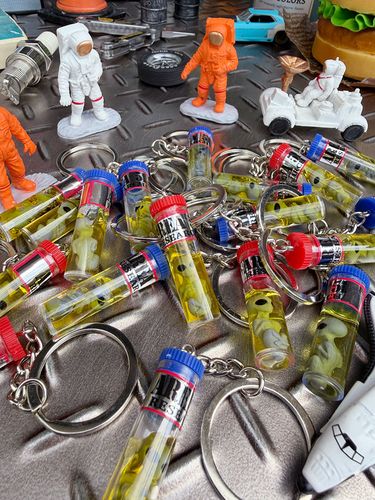 宇宙人 グレイ ホルマリン漬フィギュア キーホルダー もはや店長すら迷子になるアメ雑ジャングル,エイリアンのホルマリン