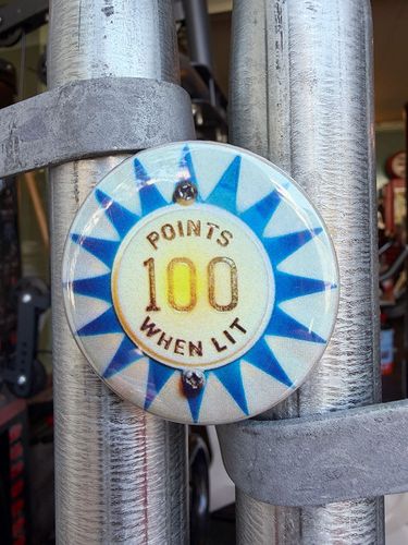 ����ꥫ�󥫥���㡼���ե�å��ޥ��ͥåȡ���100 POINTS WHEN LIT��