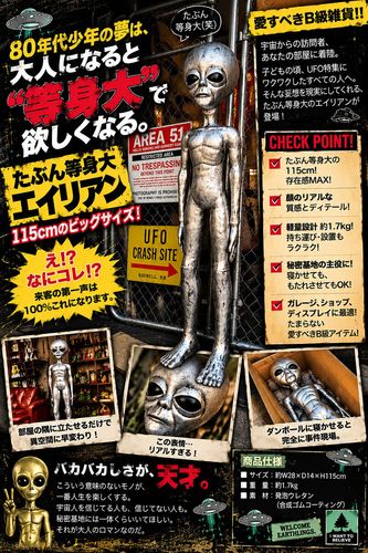 ���֤������硡�����ꥢ�󡡥ӥå�������115cm���ͷ����ʥ���С������ꥢ���