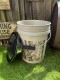 �ƹ�꡼�������ȼҡ�5�����󡡥Х��ġ��ե��դ���MADE IN U.S.A.���ʥꥢ��ĥ꡼��
