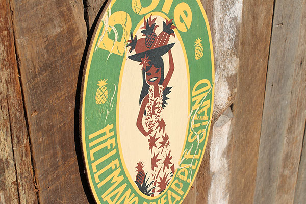 �ΤΥ��ɥХ������󥰡��ϥ磻���󥦥åɥ����󡡡ʥɡ��롦�ѥ��ʥåץ��