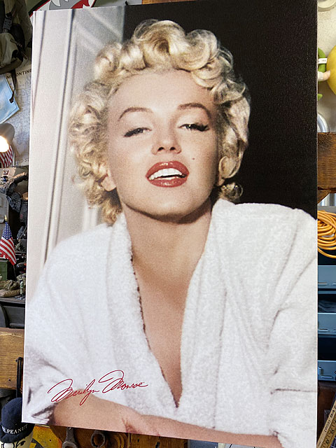 �ޥ��󡦥������������Х������ȡ���M������/�ǥ�����A��