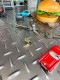 �����롡�֥饹�����ߥ˥ե����奢��������Ƥӹ���ﵯʪ���Ɀ���å�