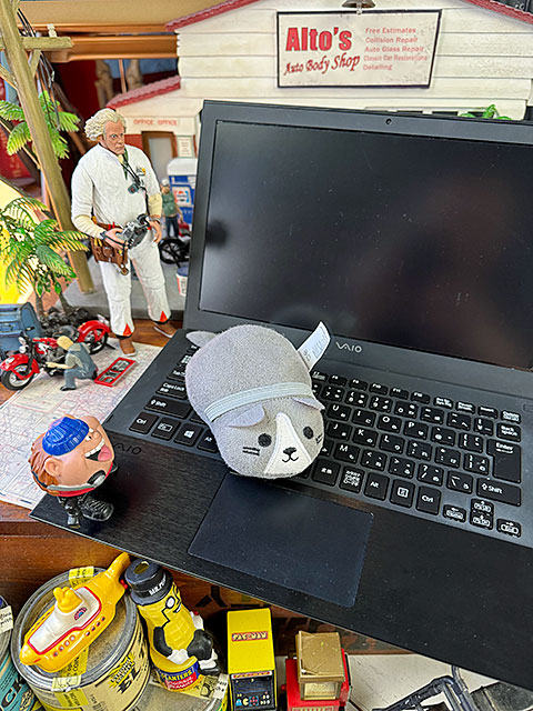 åɡåȡޥեС꡼󡡥꡼ʡȥ饽ե