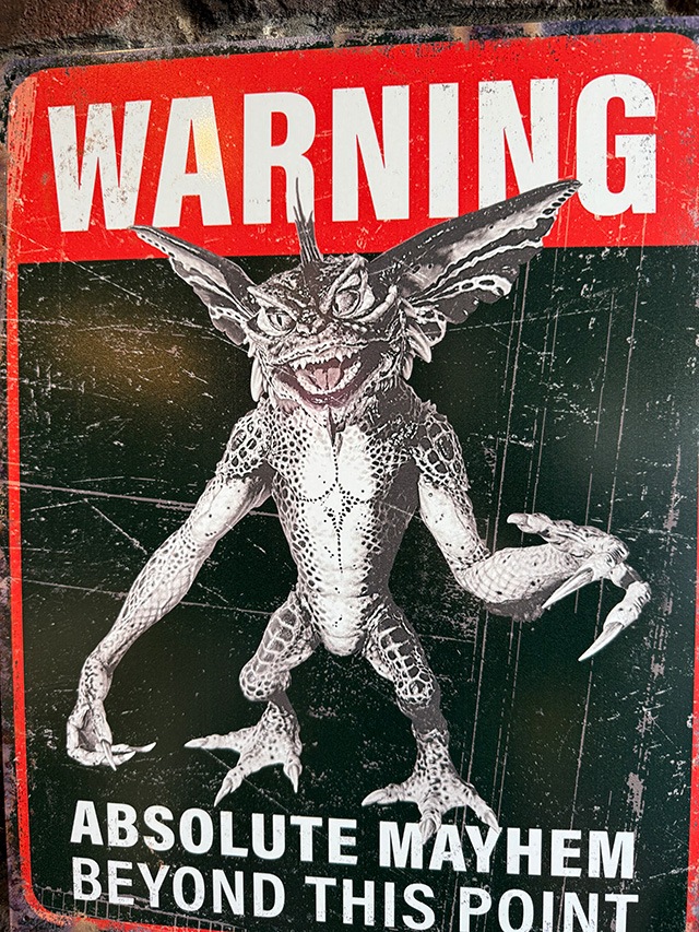 �ٹ𡪤����衢����Ū���������ӡ�������󡡥֥ꥭ����