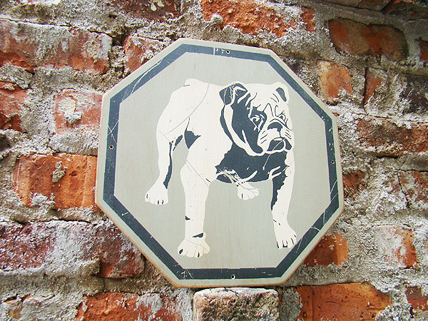 �ΤΥ��ɥХ������󥰡����åɥ����󡡥��꡼������ơ��ʥ֥�ɥå���