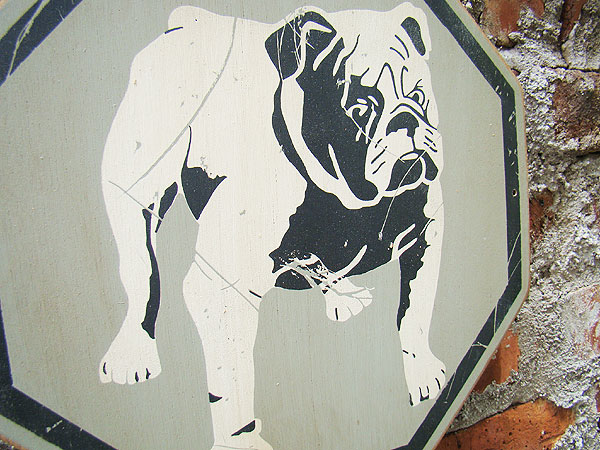 �ΤΥ��ɥХ������󥰡����åɥ����󡡥��꡼������ơ��ʥ֥�ɥå���