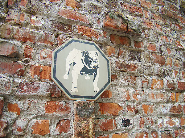 �ΤΥ��ɥХ������󥰡����åɥ����󡡥��꡼������ơ��ʥ֥�ɥå���