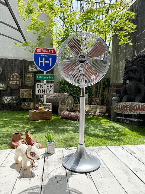 ϥ⥵ȥե󡡥եʥСˡHERMOSA RETORO FAN FLOOR󿶤ꡡ3ʳʥ͡졼