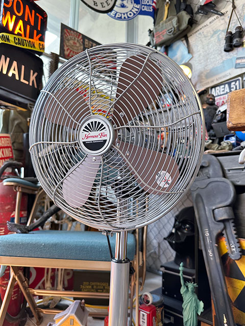 ϥ⥵ȥե󡡥եʥСˡHERMOSA RETORO FAN FLOOR󿶤ꡡ3ʳʥ͡졼