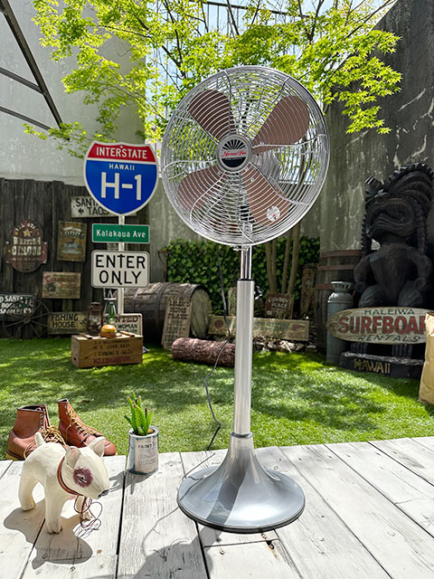 ϥ⥵ȥե󡡥եʥСˡHERMOSA RETORO FAN FLOOR󿶤ꡡ3ʳʥ͡졼