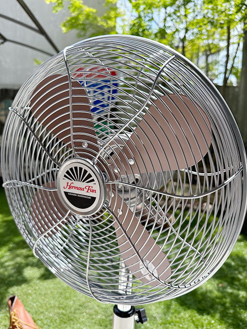 ϥ⥵ȥե󡡥եʥСˡHERMOSA RETORO FAN FLOOR󿶤ꡡ3ʳʥ͡졼