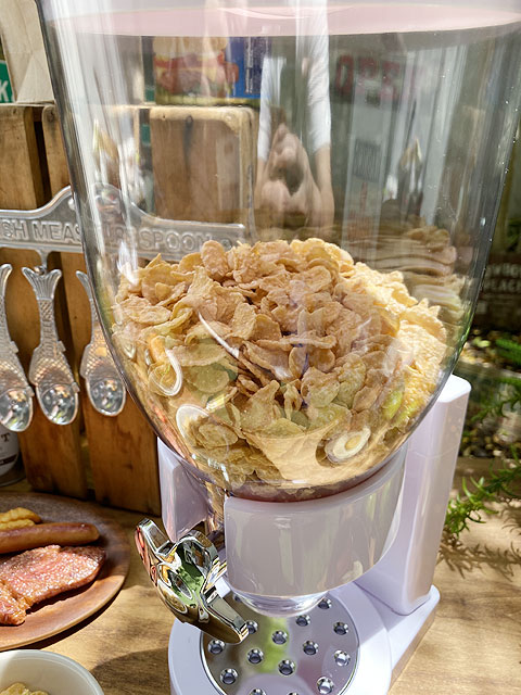 ꥢǥڥ󥵡ʥۥ磻ȡ