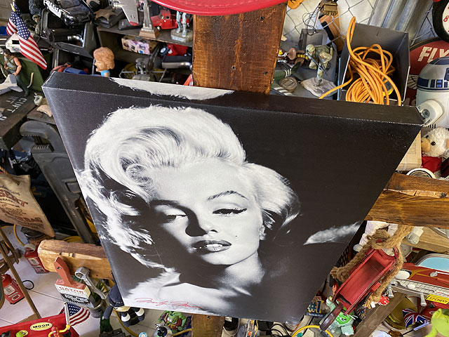 �ޥ��󡦥������������Х������ȡ���M������/�ǥ�����D��