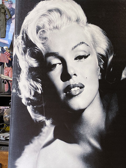 �ޥ��󡦥������������Х������ȡ���M������/�ǥ�����D��