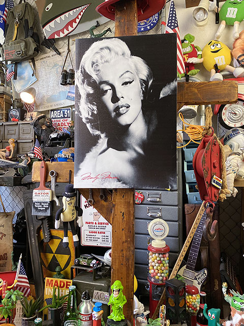 �ޥ��󡦥������������Х������ȡ���M������/�ǥ�����D��