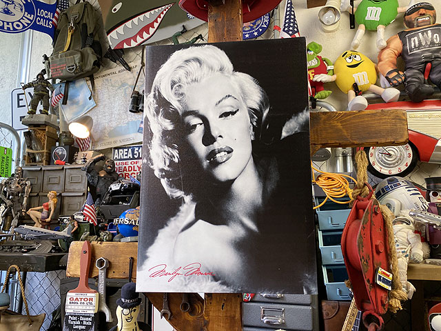 �ޥ��󡦥������������Х������ȡ���M������/�ǥ�����D��