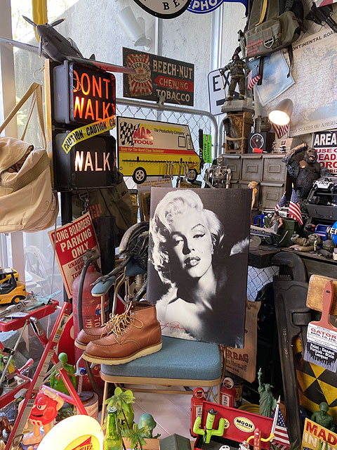 �ޥ��󡦥������������Х������ȡ���M������/�ǥ�����D��