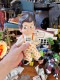�ӥå��ܡ��������եӥХ󥯡�1970ǯ���ǥ롡�����ǡ�����Ȣ��BIG BOY