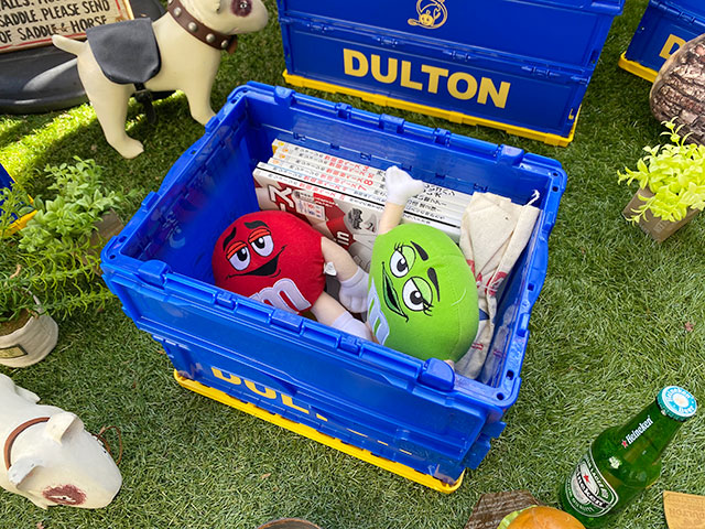 ����ȥ󡡥ե�����ǥ��󥰥���ƥʡ���S������2��+L������1�Ĥι��3�ĥ��åȡ�