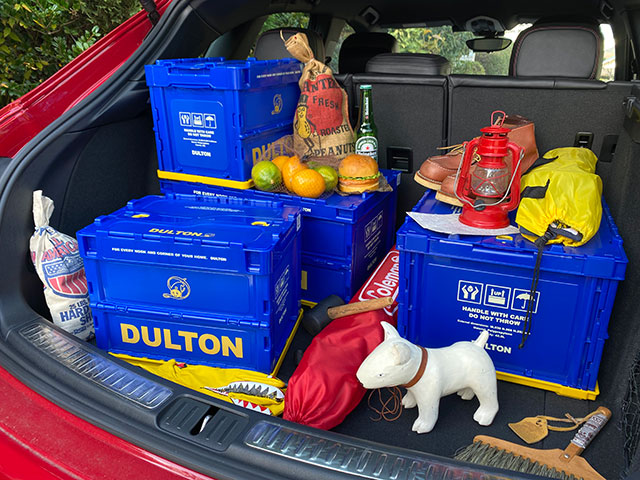 ����ȥ󡡥ե�����ǥ��󥰥���ƥʡ���S������2��+L������1�Ĥι��3�ĥ��åȡ�