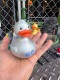 �ࡼ�󥢥�����40��ǯ���˥С����꡼�����ڥ���롡��С����å����ʥ���С���